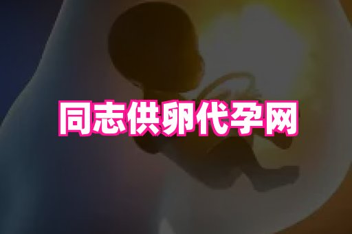 潍坊助孕网 3